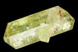 Bag Of Five Yellow Apatite Crystals ( - ) - Morocco #108365-1